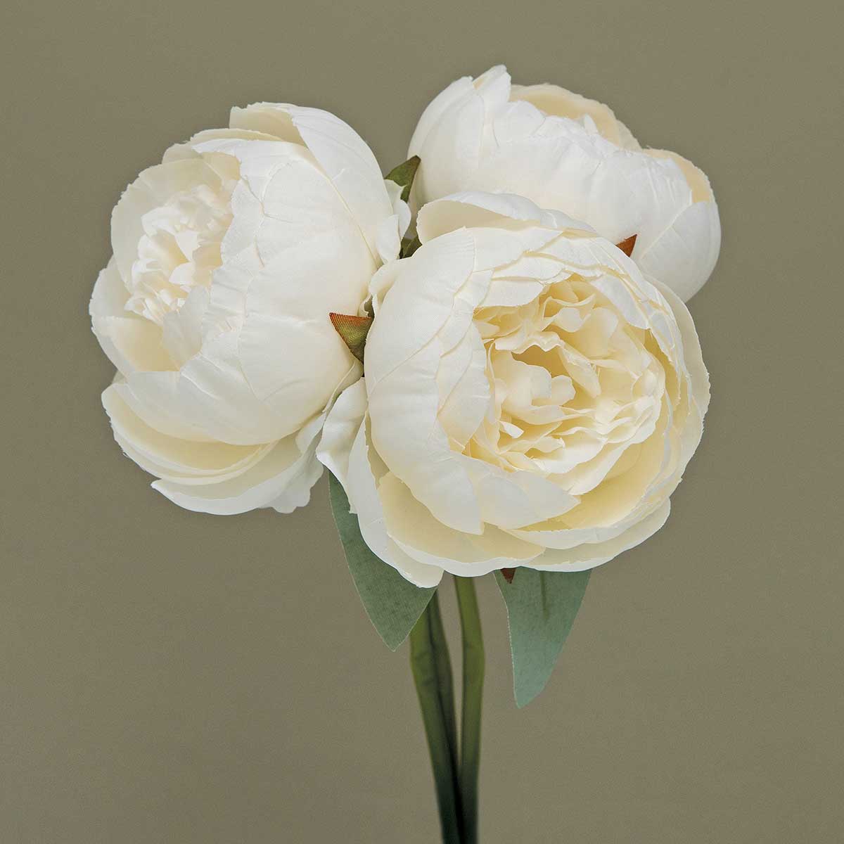 BUNDLE OF 3 PEONY CREAM